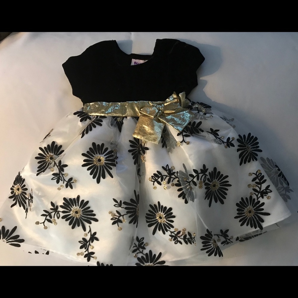 Little girls party dress Blueberri boulevard 12 mo